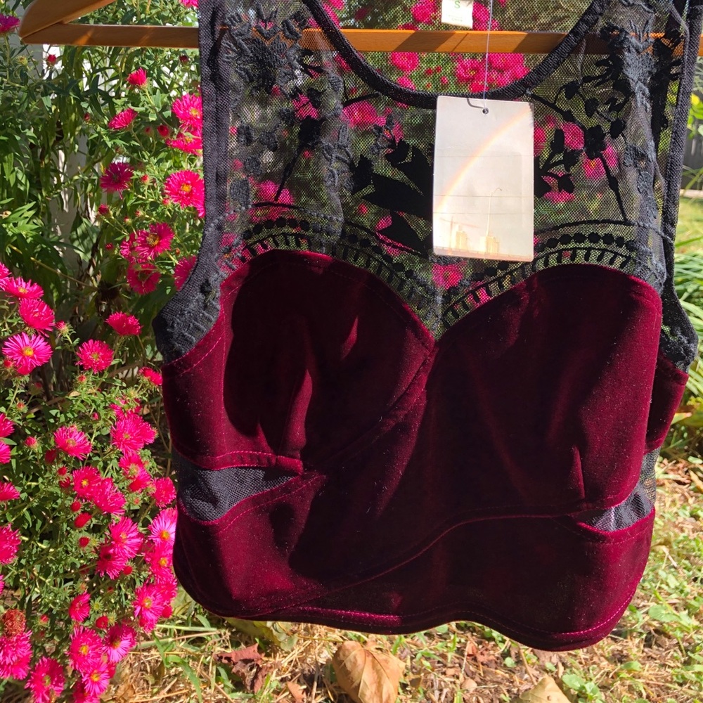 Urban outfitters crop top velvet mesh